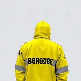 fraudes online